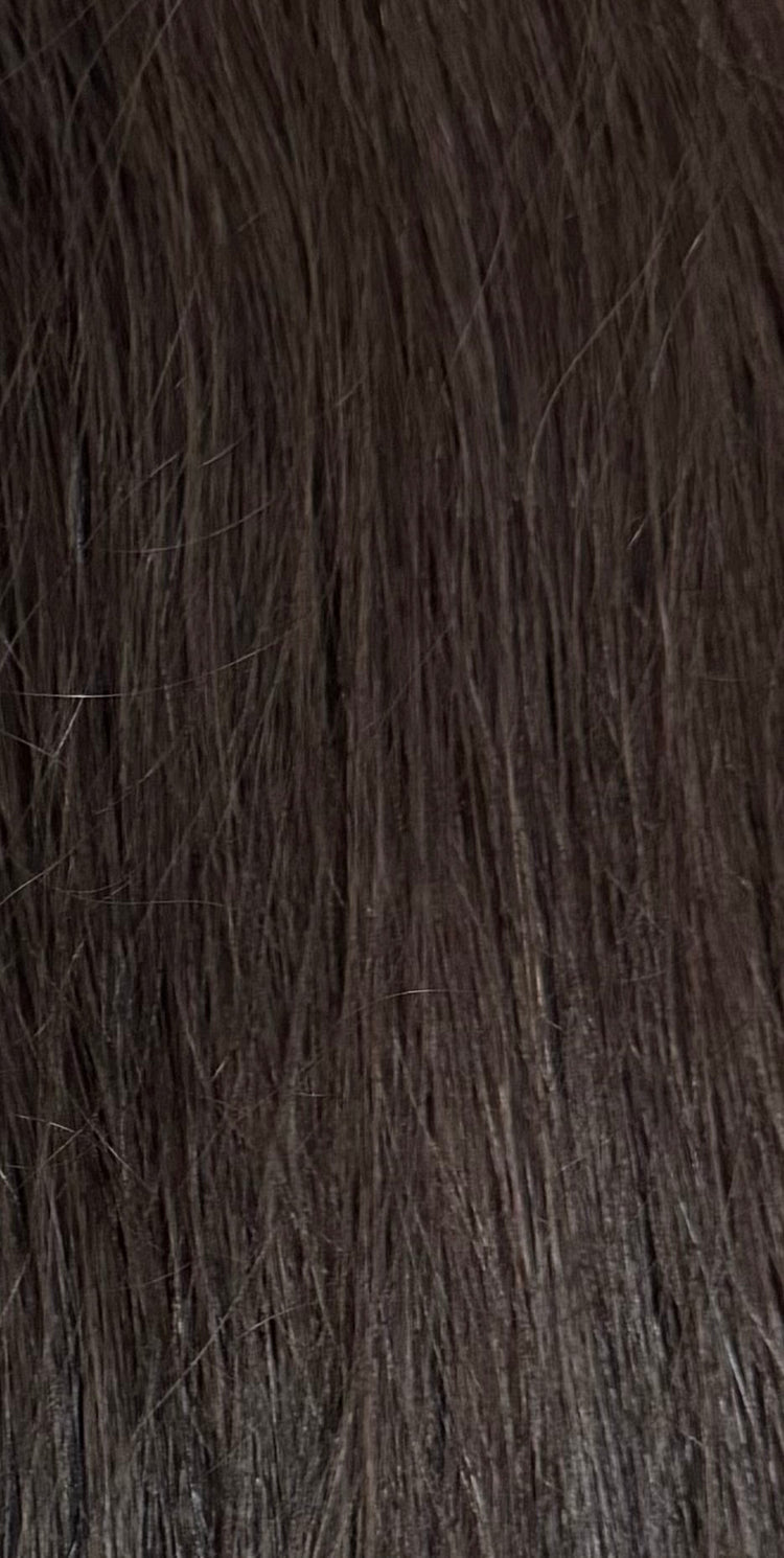 Brown Hues